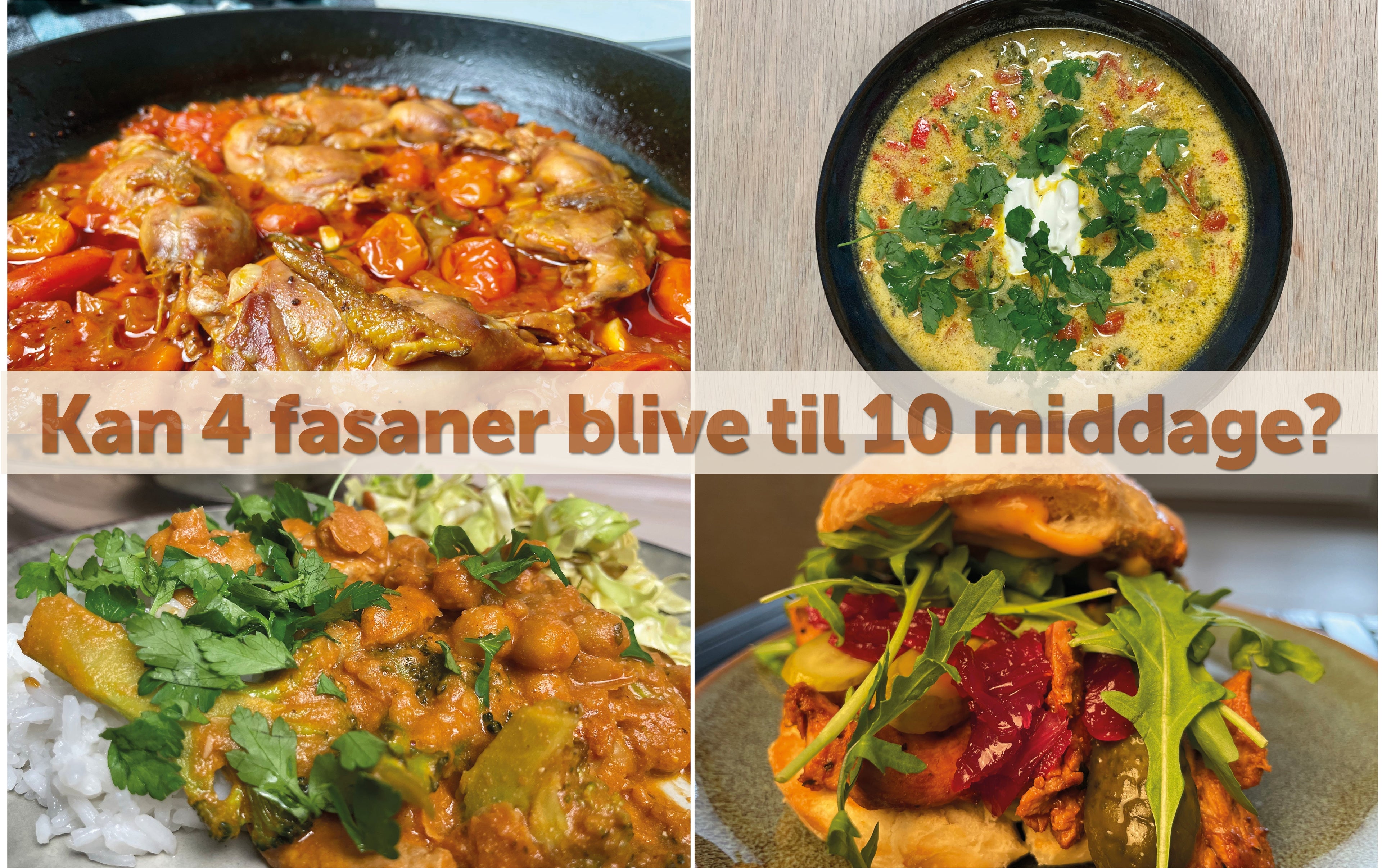 Kan 4 fasaner blive til 10 middage for fire personer?
