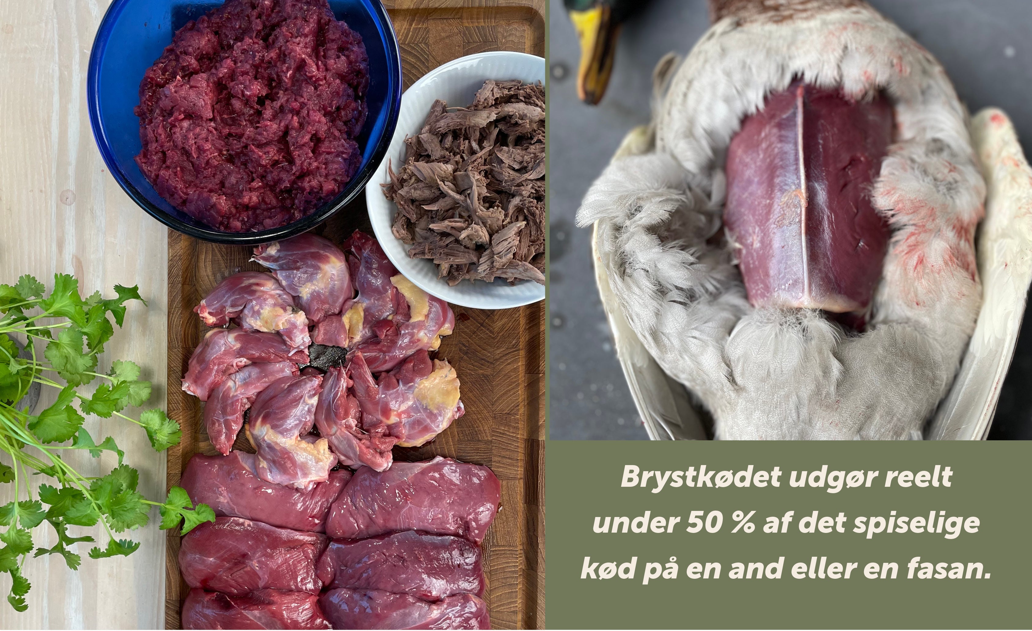 Bruger du kun brystkødet, spilder du halvdelen af fuglen!